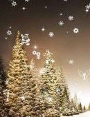 Christmas Magic Live Wallpaper Android