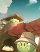 Angry Birds Seasons - Summer Pignic!