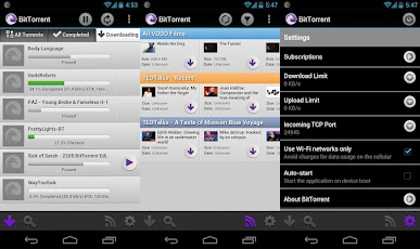 BitTorrent Beta