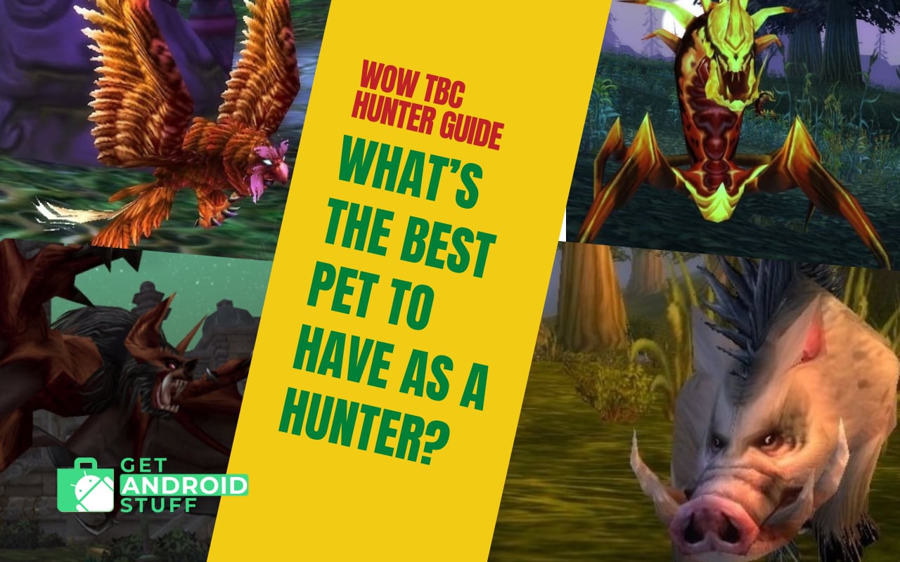 Best WoW TBC Hunter Pets and How to Get Them Get Android Stuff