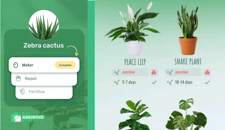 Screenshot of Blossom - Plant Identification app for android