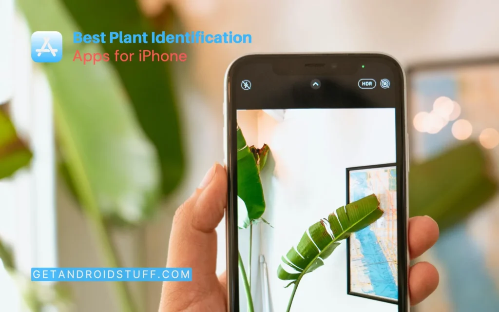 Plant Identification Apps for iPhone