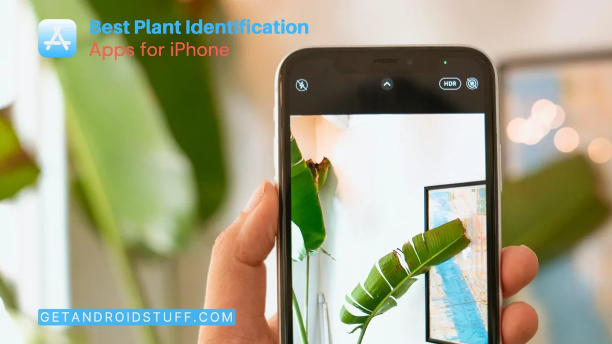 Plant Identification Apps for iPhone