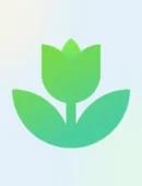 Plant App: Plant Identifier