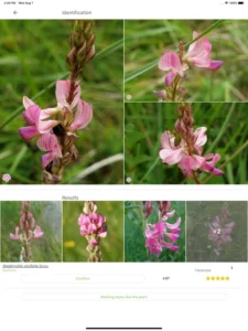 Screenshot of PlantNet