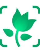 PictureThis - Plant Identifier