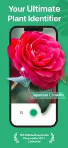 Screenshot of PictureThis - Plant Identifier
