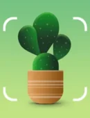 Plantum - AI Plant Identifier