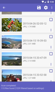 Screenshot of DiskDigger Pro file recovery