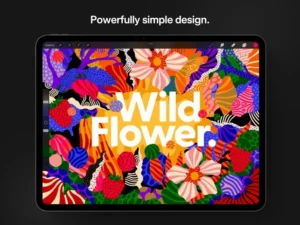 Screenshot of Procreate