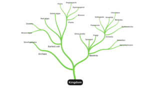 Screenshot of miMind - Easy Mind Mapping