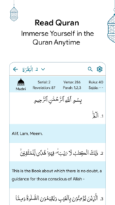 Screenshot of AnalyzeQuran - Quran with AI
