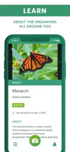 Screenshot of Seek by iNaturalist