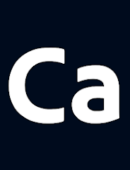 Adobe Capture: Illustrator,Ps