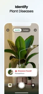 Screenshot of Plant App: Plant Identifier