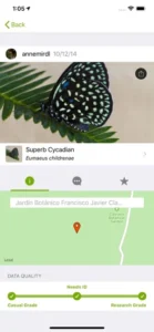 Screenshot of iNaturalist