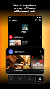 Screenshot of Netflix