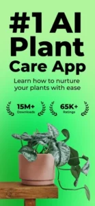 Screenshot of PlantSnap - Plant Identifier