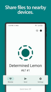 Screenshot of LocalSend: Transfer Files
