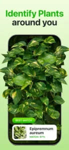 Screenshot of Plant Identifier & Care App
