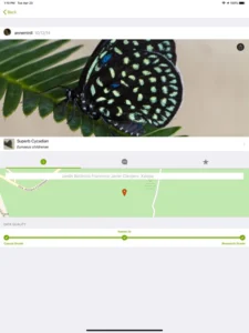 Screenshot of iNaturalist